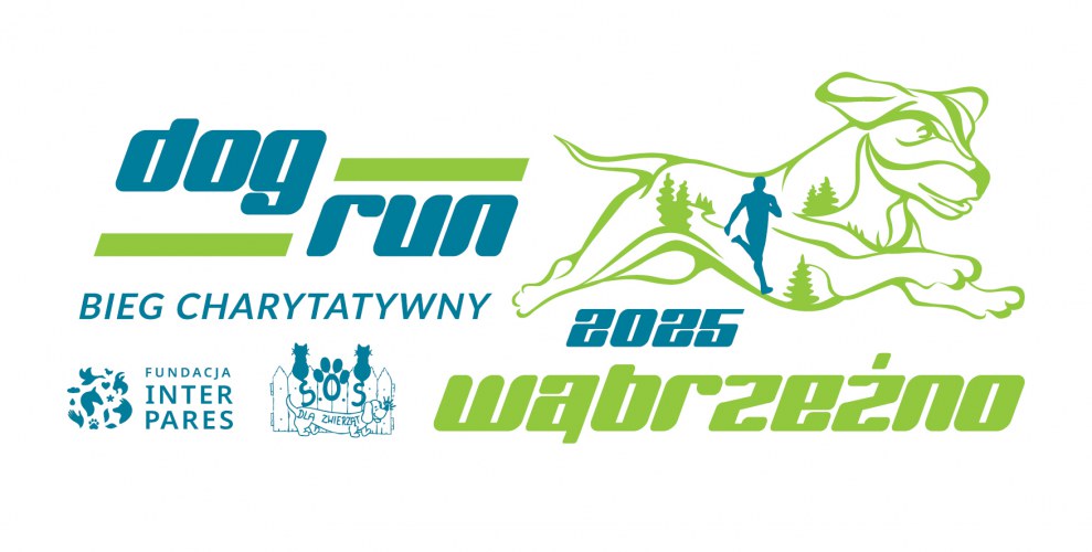 Dog Run Wąbrzeźno
